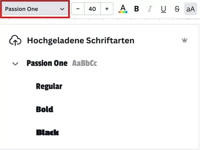 Leo Brockhausen Canva Schriftarten hochladen Finden